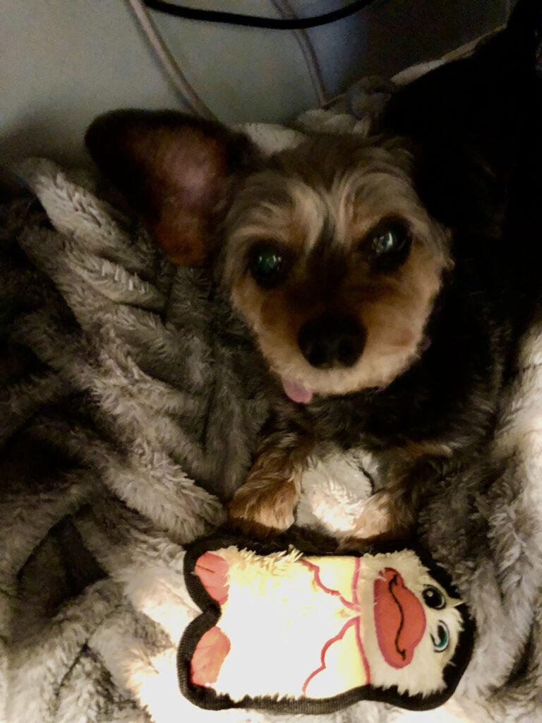 71701282714 36948474 5bb3 472f 8843 6846d46d96a5