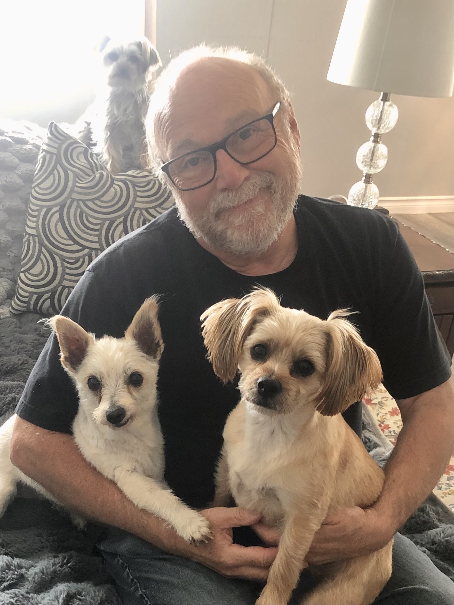 73811076572 cf059938 55ec 4fa8 b71d 3a2296fcca34