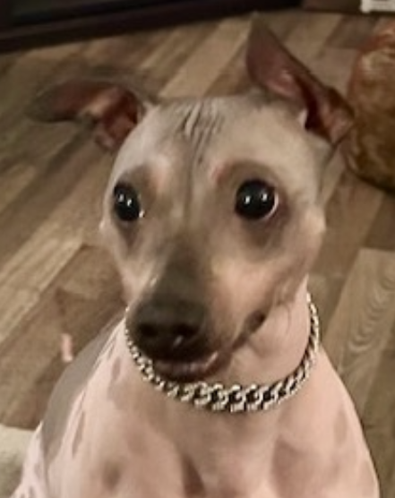 screenshot 2026 02 03 at 7.23.12 pm