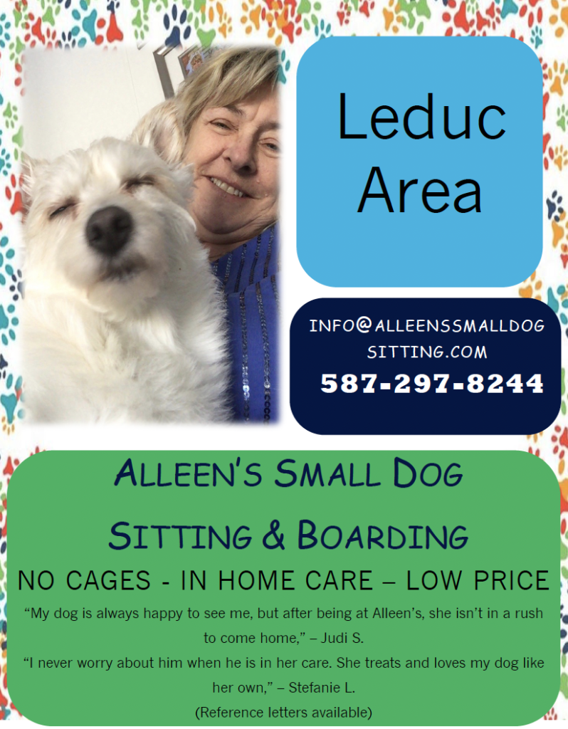 screenshot 2026 02 13 at 12.23.18 pm